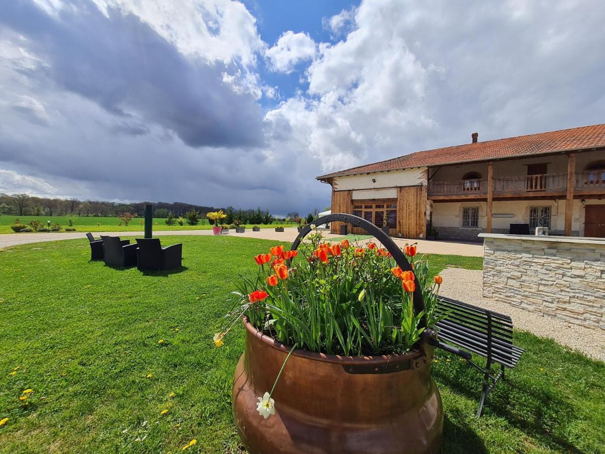 Domaine Du Cuiset -Gite Des Combles Villa Saint-André-sur-Vieux-Jonc Dış mekan fotoğraf