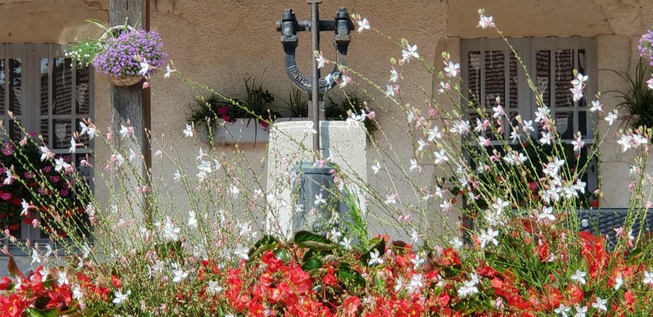 Domaine Du Cuiset -Gite Des Combles Villa Saint-André-sur-Vieux-Jonc Dış mekan fotoğraf